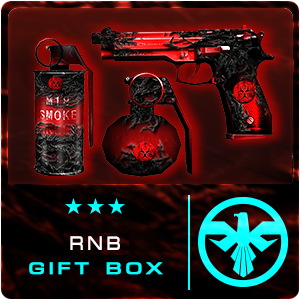 RNB GIFT BOX