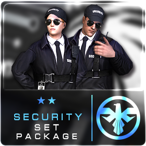 SECURITY SET PACKAGE (30 Days)