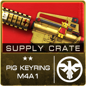 Supply Crate PIG KEYRING M4A1 (10 Pieces)