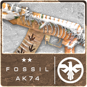 FOSSIL AK74 (Permanent)