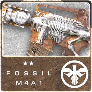 FOSSIL M4A1 (Permanent)