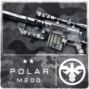 POLAR M200 (Permanent)