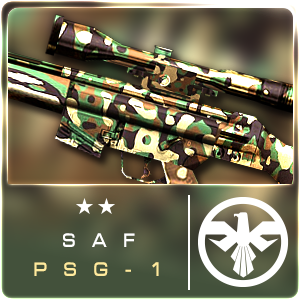 SAF PSG-1 (Permanent)