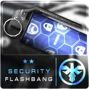 SECURITY FLASHBANG (Permanent)