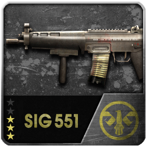 SIG551 (Permanent)