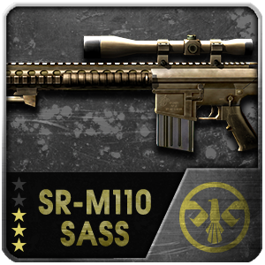 SR-M110 SASS (Permanent)