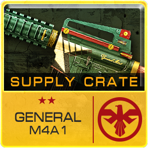 SUPPLY CRATE GENERAL M4A1 (20 Pieces)